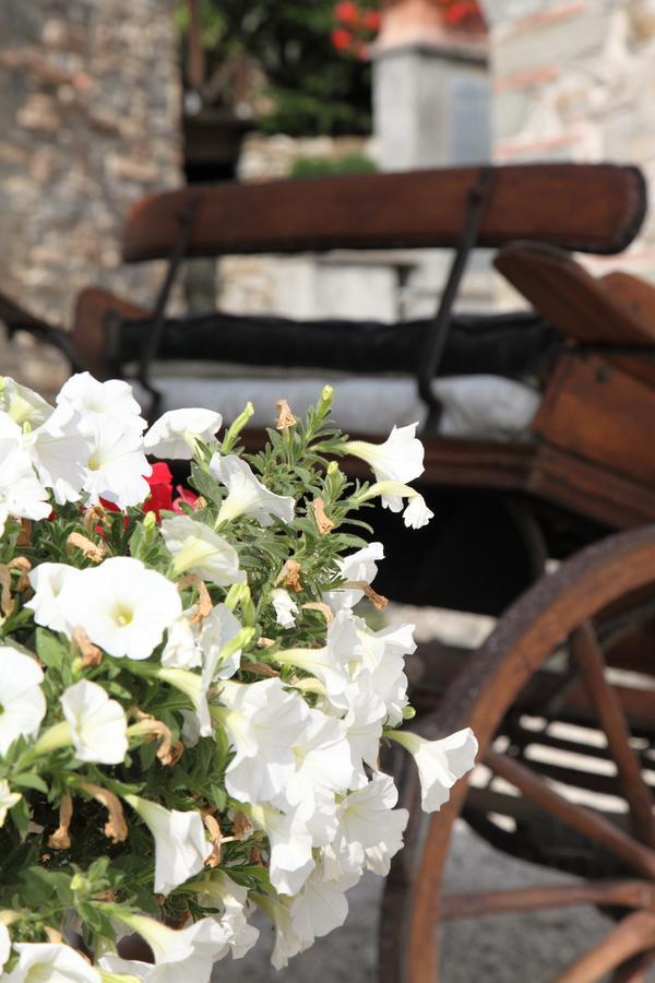 Agriturismo Il Calesse Quarrata Eksteriør billede