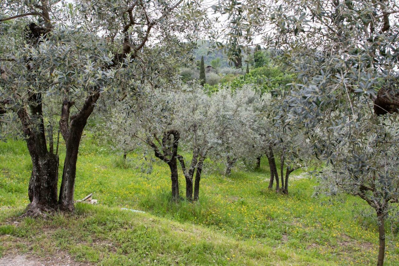 Agriturismo Il Calesse Quarrata Eksteriør billede